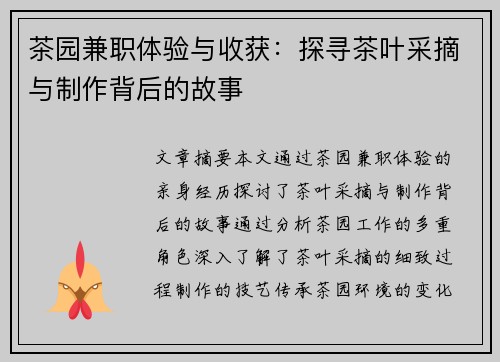 茶园兼职体验与收获：探寻茶叶采摘与制作背后的故事